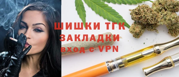 дживик Вязьма