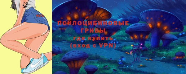 дживик Вязьма